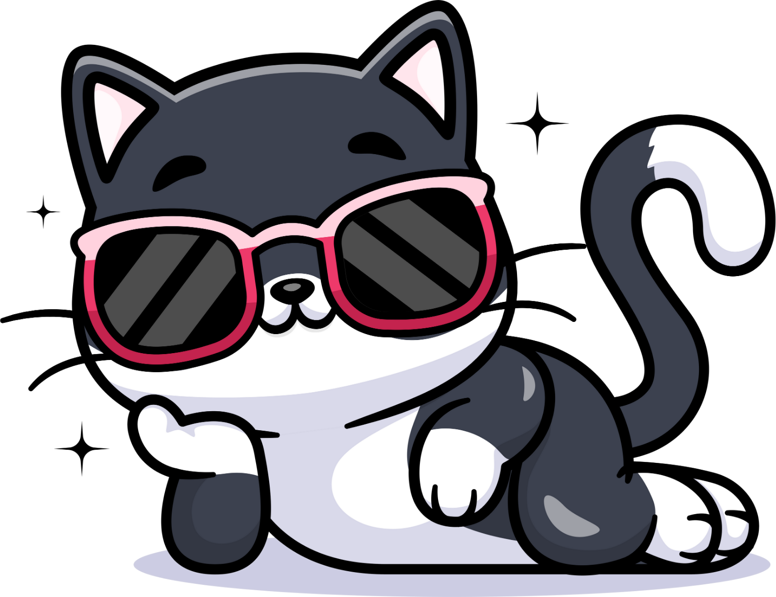 chat avec lunettes